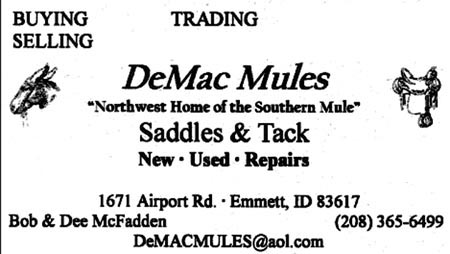 demac_web02