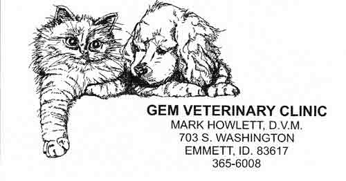 gem_veterinary_web gem_veterinary_web