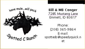 spotted_c_card