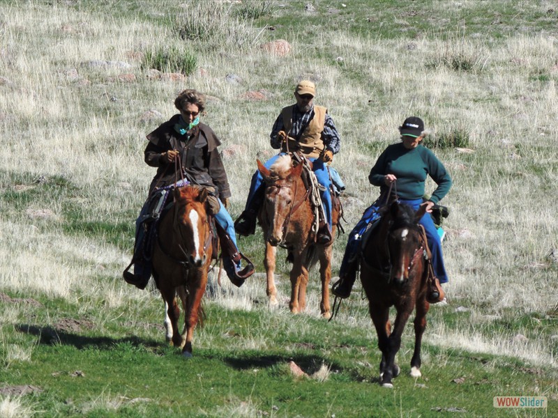 Trailer Weight and Hitch Selection » IDAHO BACK COUNTRY HORSEMEN