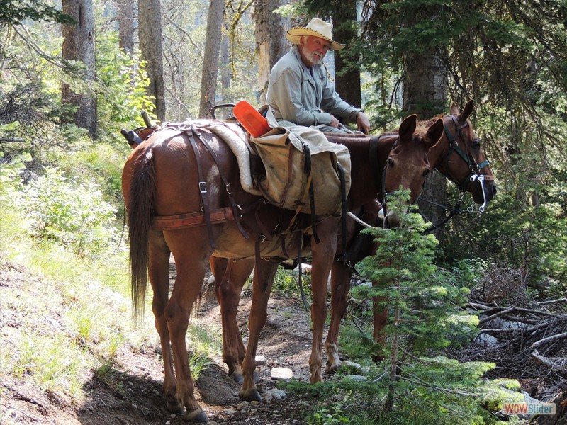 Trailer Weight and Hitch Selection » IDAHO BACK COUNTRY HORSEMEN