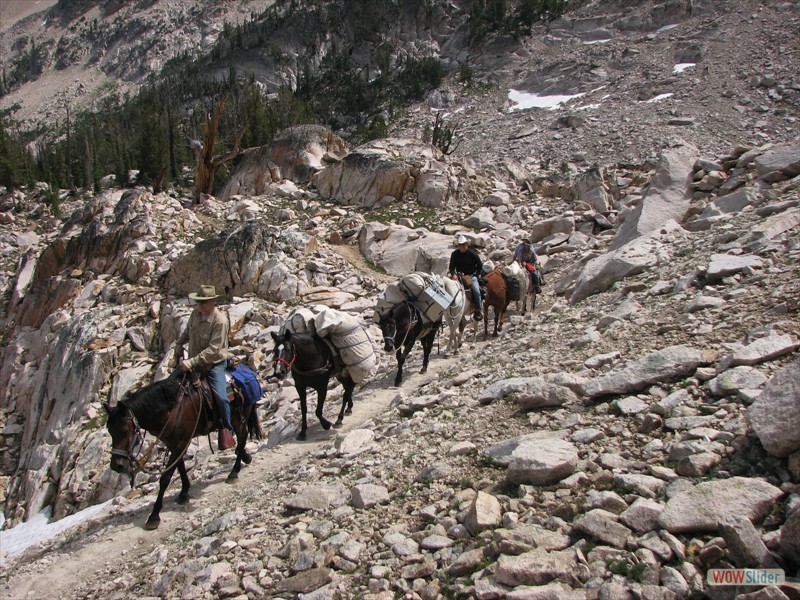 Trailer Weight and Hitch Selection » IDAHO BACK COUNTRY HORSEMEN