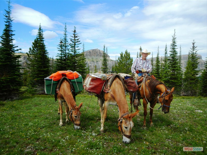 Trailer Weight and Hitch Selection » IDAHO BACK COUNTRY HORSEMEN